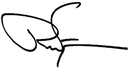 foglemansignature.jpg